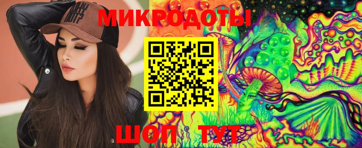 Петрозаводск  Галлюциногенные грибы Psilocybine cubensis  Вход с VPN 